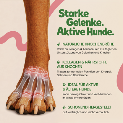 Bio Knochenbrühepulver für Hunde