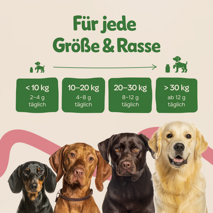 Bio Knochenbrühepulver für Hunde